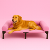Raised Dog Bed