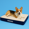 Orthopedic Dog Bed