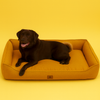 Indestructible Dog Bed
