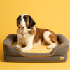 Extra Large Dog Bed