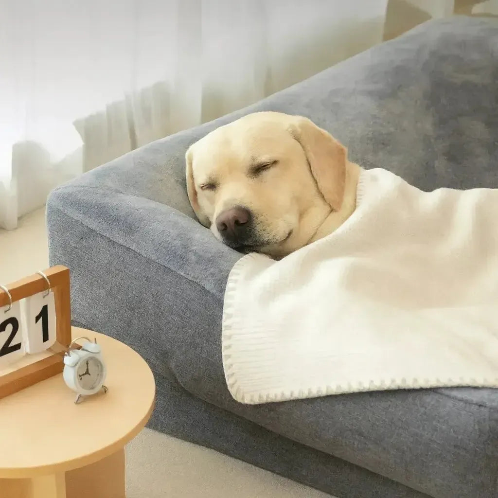 180cm Orthopedic Washable Dog Couch Bed For Humans And Large Dogs