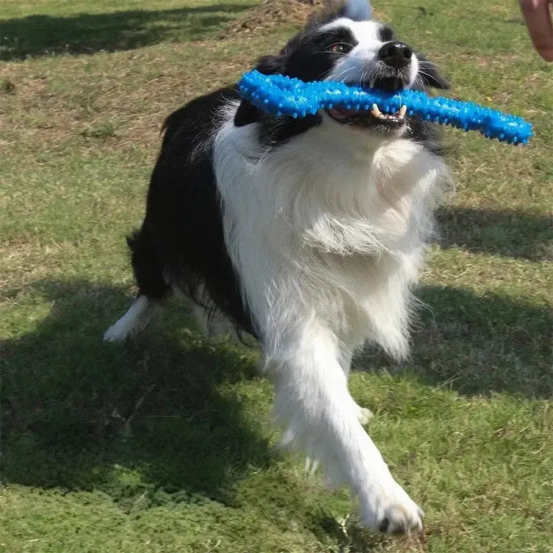 Bite Resistant Rubber Toy for Aggressive Chewers