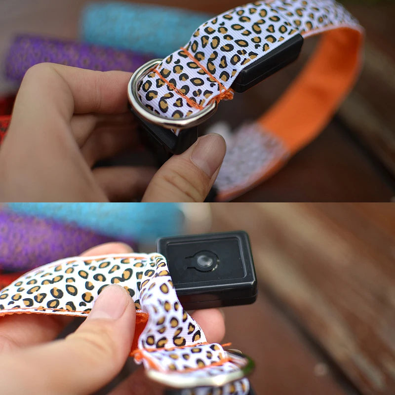 Leopard Print LED Dog Collar – Light Up, Adjustable & Safe