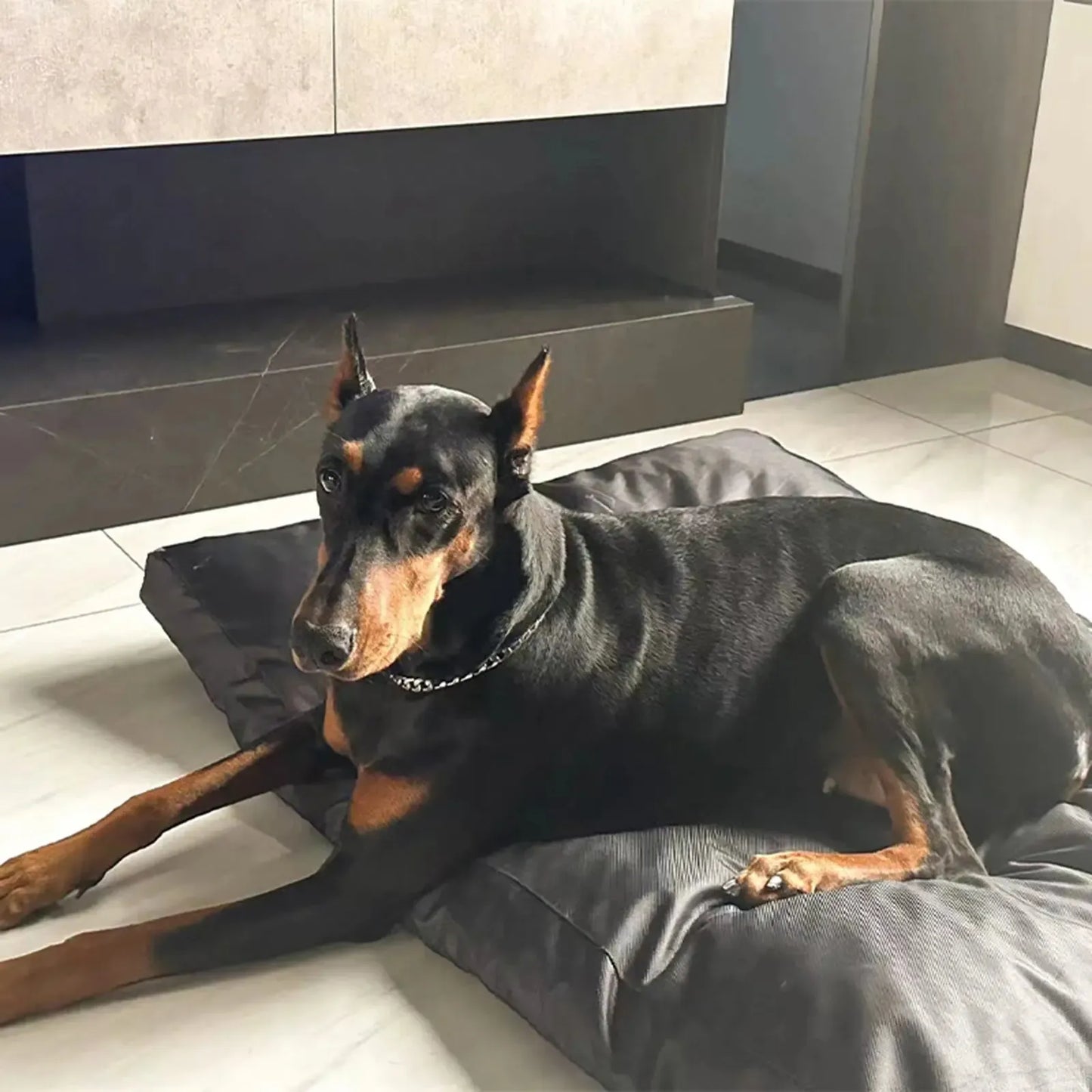 Orthopedic Waterproof Washable Oxford Dog Bed With Handle