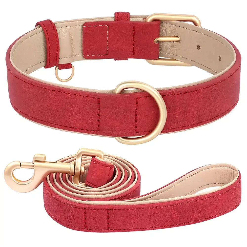 Padded Leather Dog Collar & Leash Stylish Set