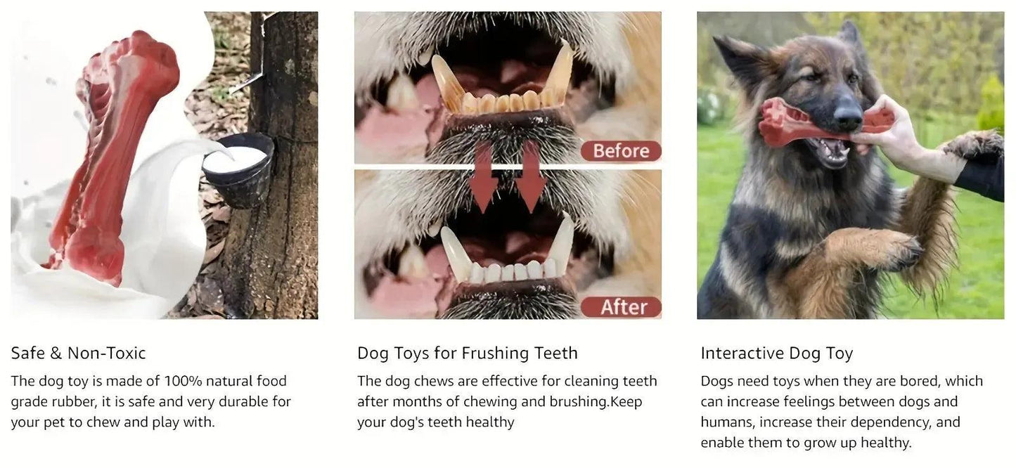 Realistic Bone Chew Toy for Large Dogs and Aggressive Chewers