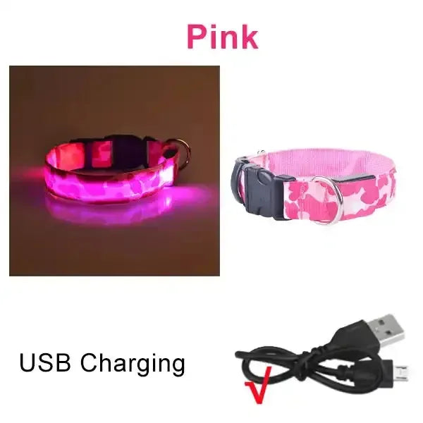 Rechargeable LED Dog Collar for Night Safety