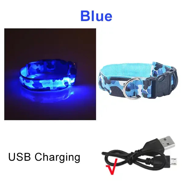 Rechargeable LED Dog Collar for Night Safety