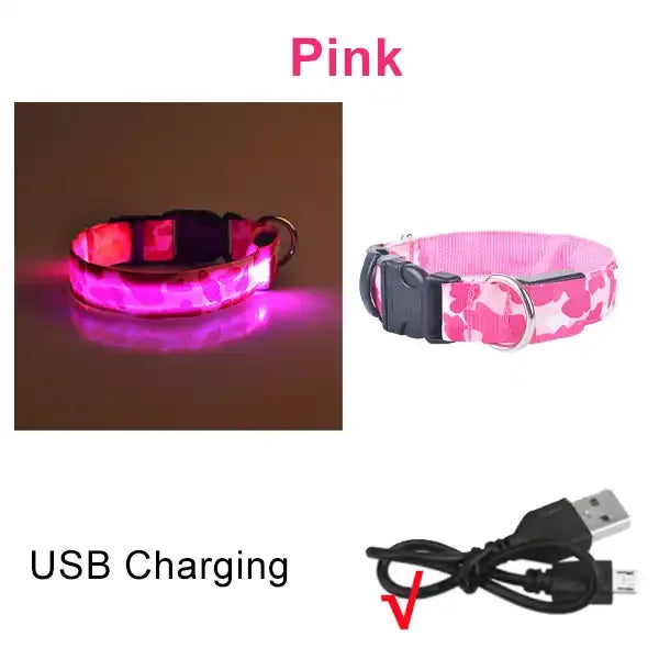 Rechargeable LED Dog Collar for Night Safety