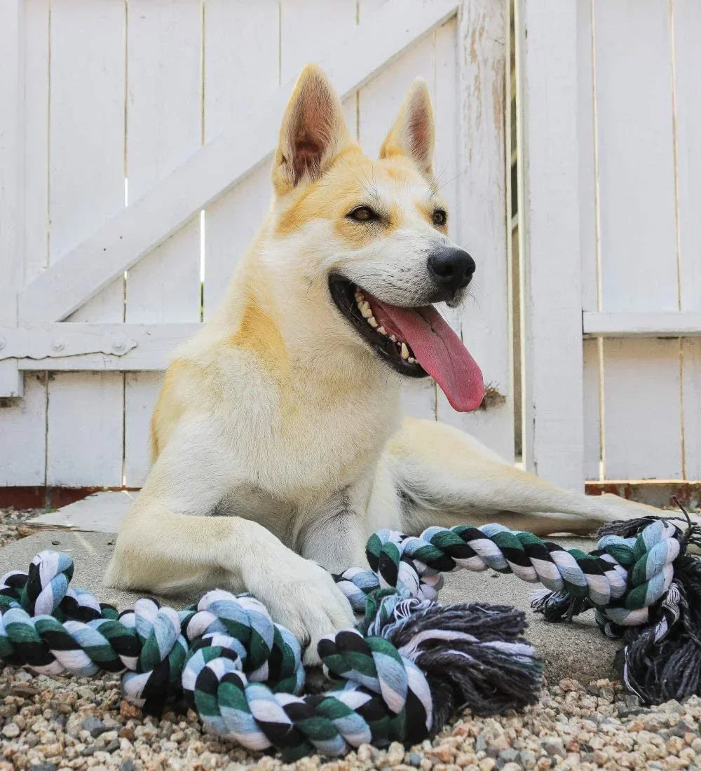 XXL Rope Toy for Giant Dogs – Indestructible Chew & Tug