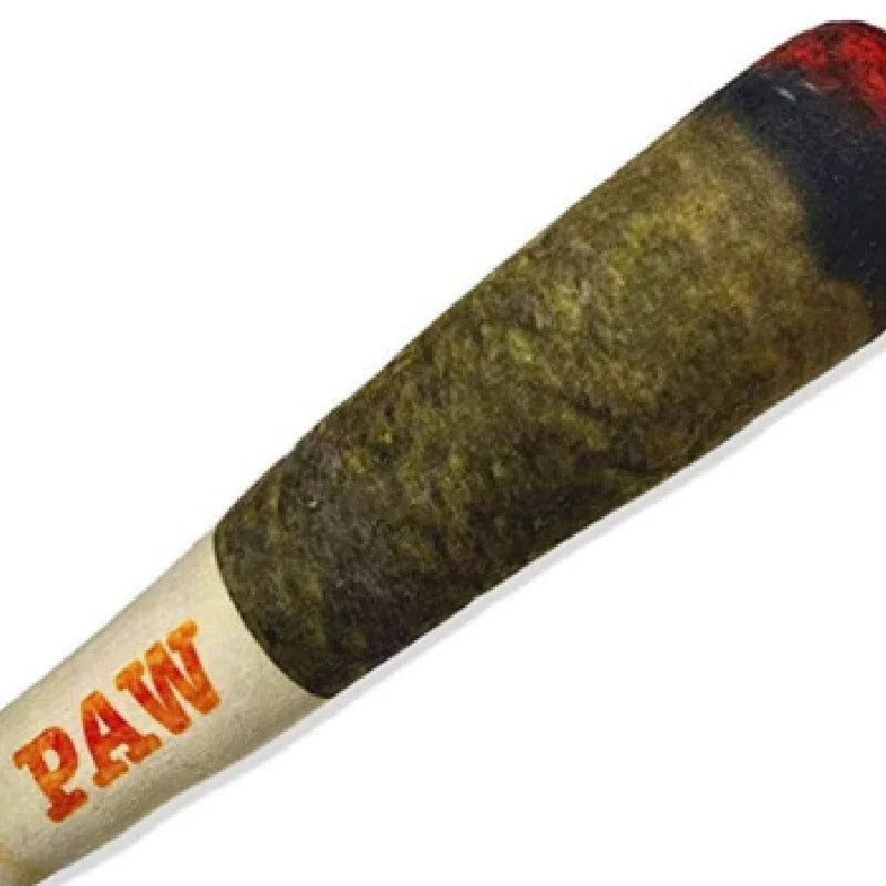 Funny Joint Squeaky Dog Toy
