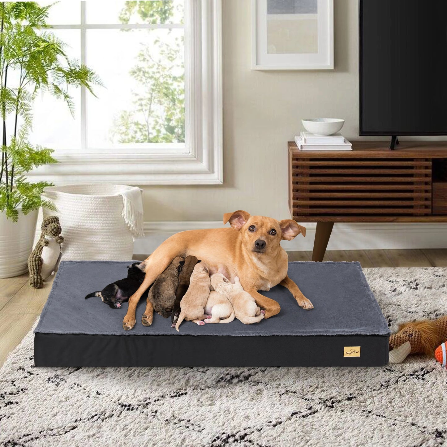 Washable Orthopedic Crate Dog Bed