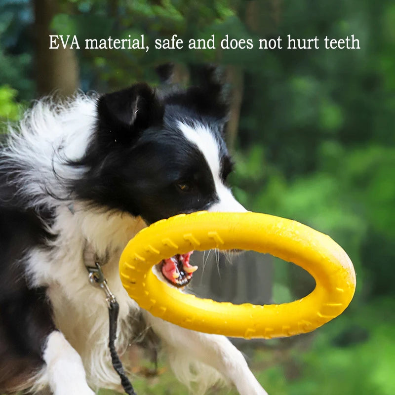 Durable Dog Toy Set – Flying Disc, Ball, Tug & Pull Ring
