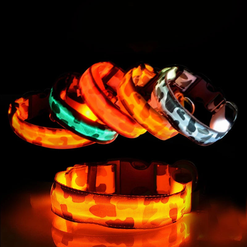 Rechargeable LED Dog Collar for Night Safety