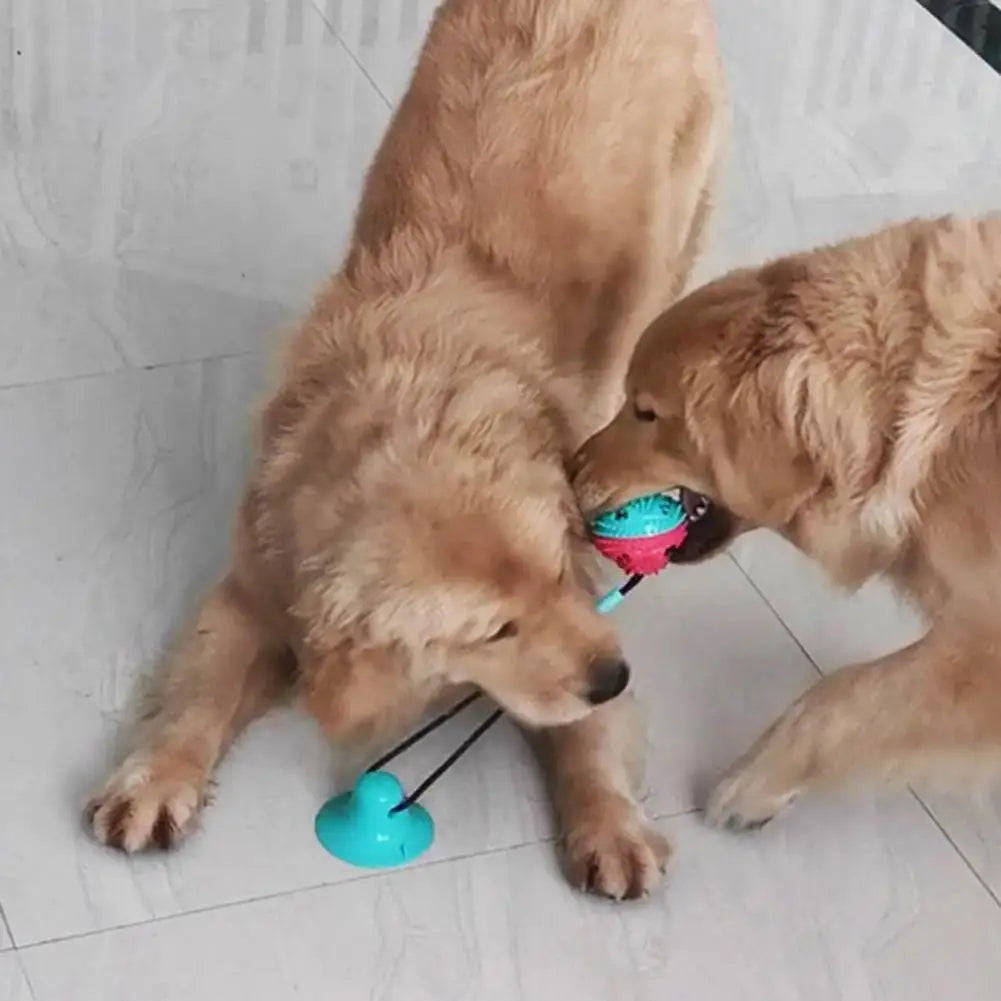 Ultra Tough Suction Tug Toy for Large Dogs