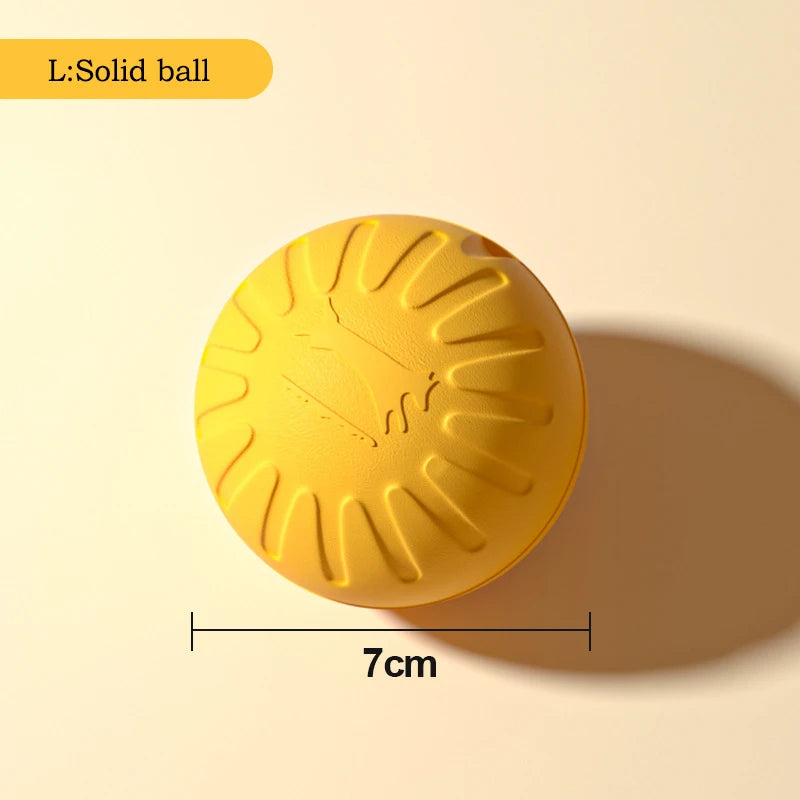 Durable Dog Toy Set – Flying Disc, Ball, Tug & Pull Ring