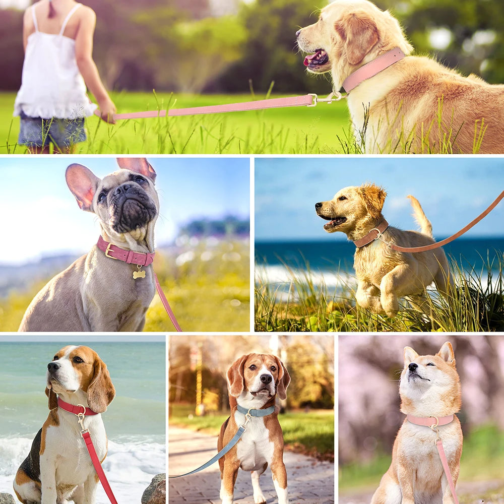 Padded Leather Dog Collar & Leash Stylish Set