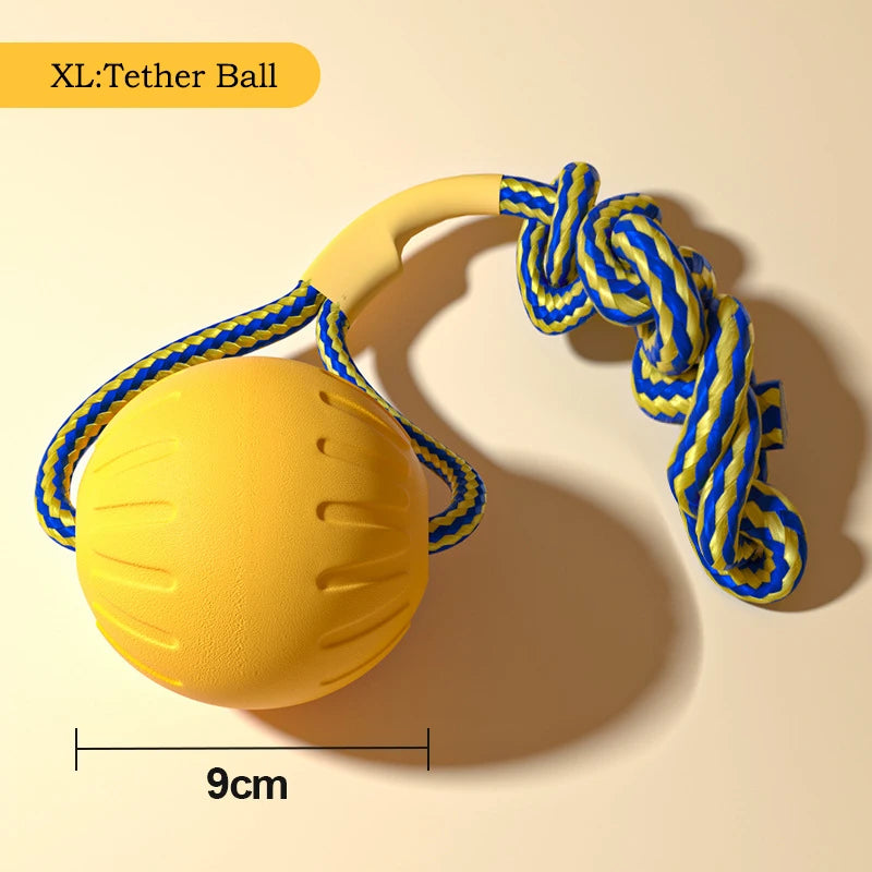 Durable Dog Toy Set – Flying Disc, Ball, Tug & Pull Ring