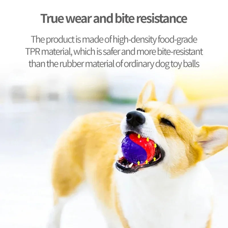 Squeaky Bouncy Dog Ball