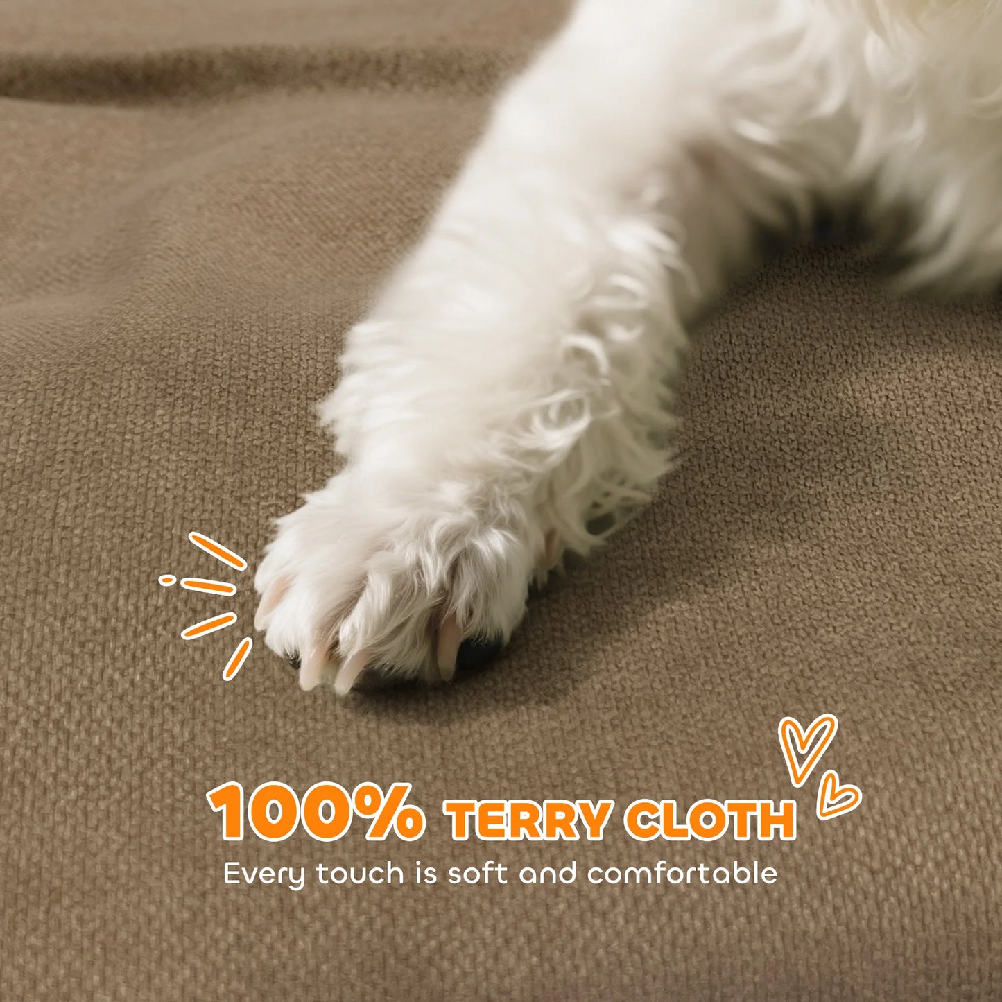 Luxury Small Dog Sofa Bed with Backrest and Washable Cushion
