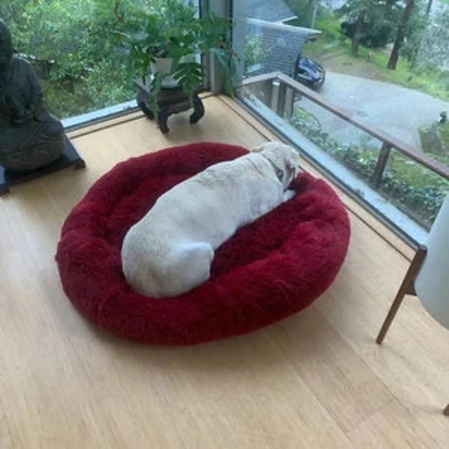 Orthopedic Washable Anti-Anxiety Donut Dog Sofa Bed