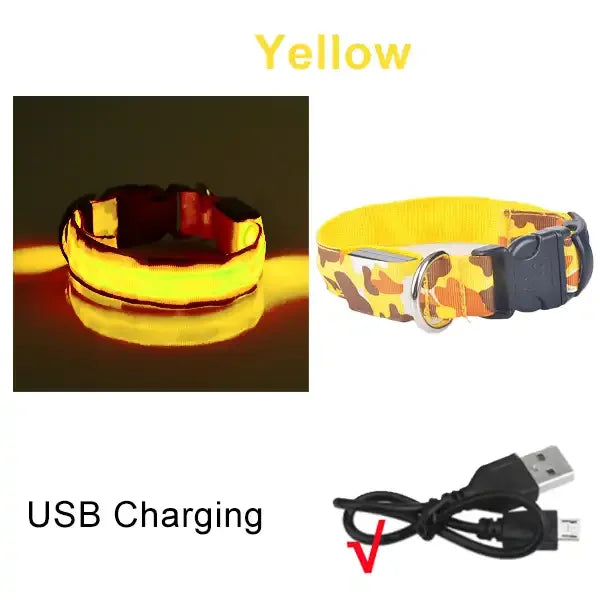 Rechargeable LED Dog Collar for Night Safety