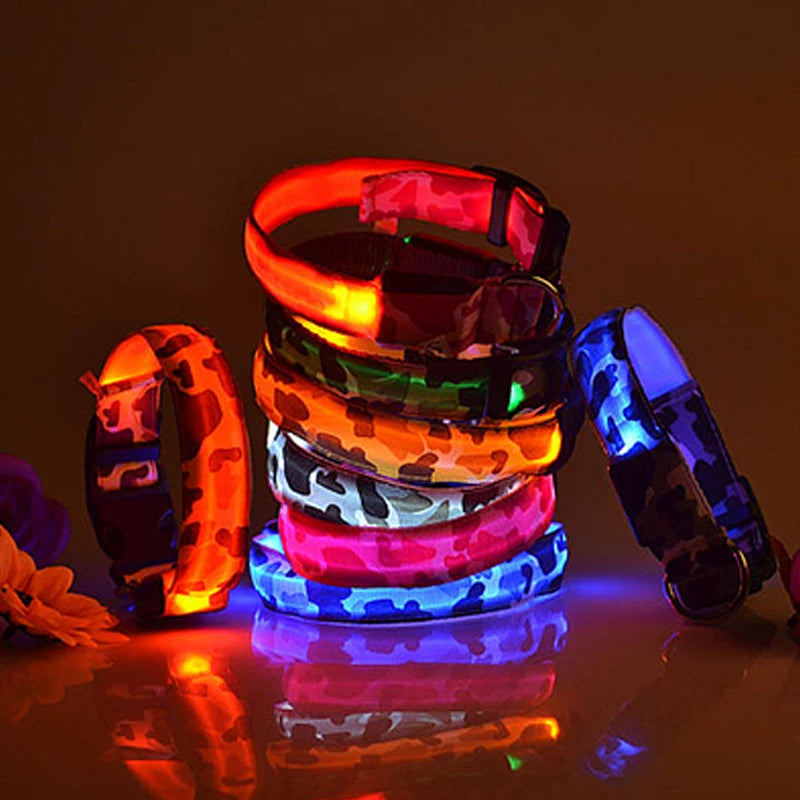 Rechargeable LED Dog Collar for Night Safety