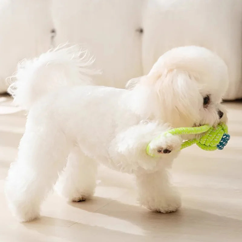Colorful Dog Chew Toy Set for Dental Health and Play