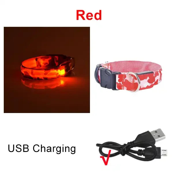 Rechargeable LED Dog Collar for Night Safety