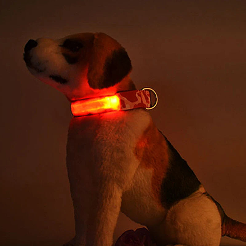 Rechargeable LED Dog Collar for Night Safety