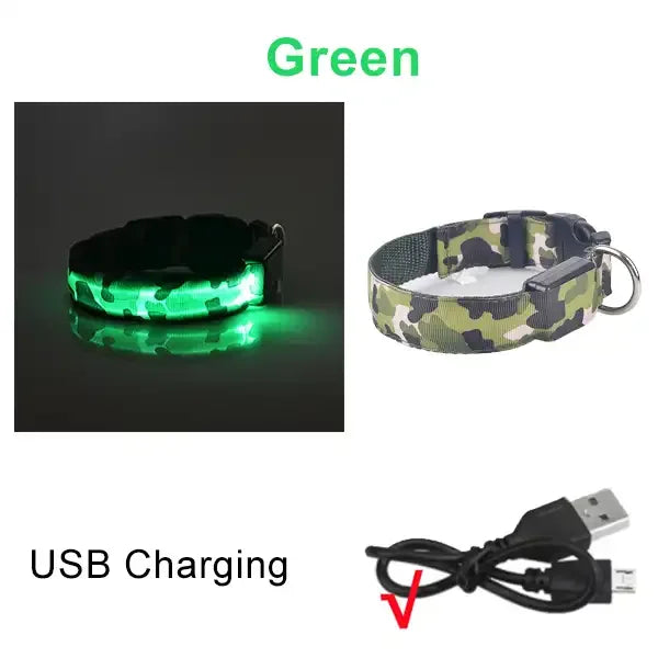 Rechargeable LED Dog Collar for Night Safety