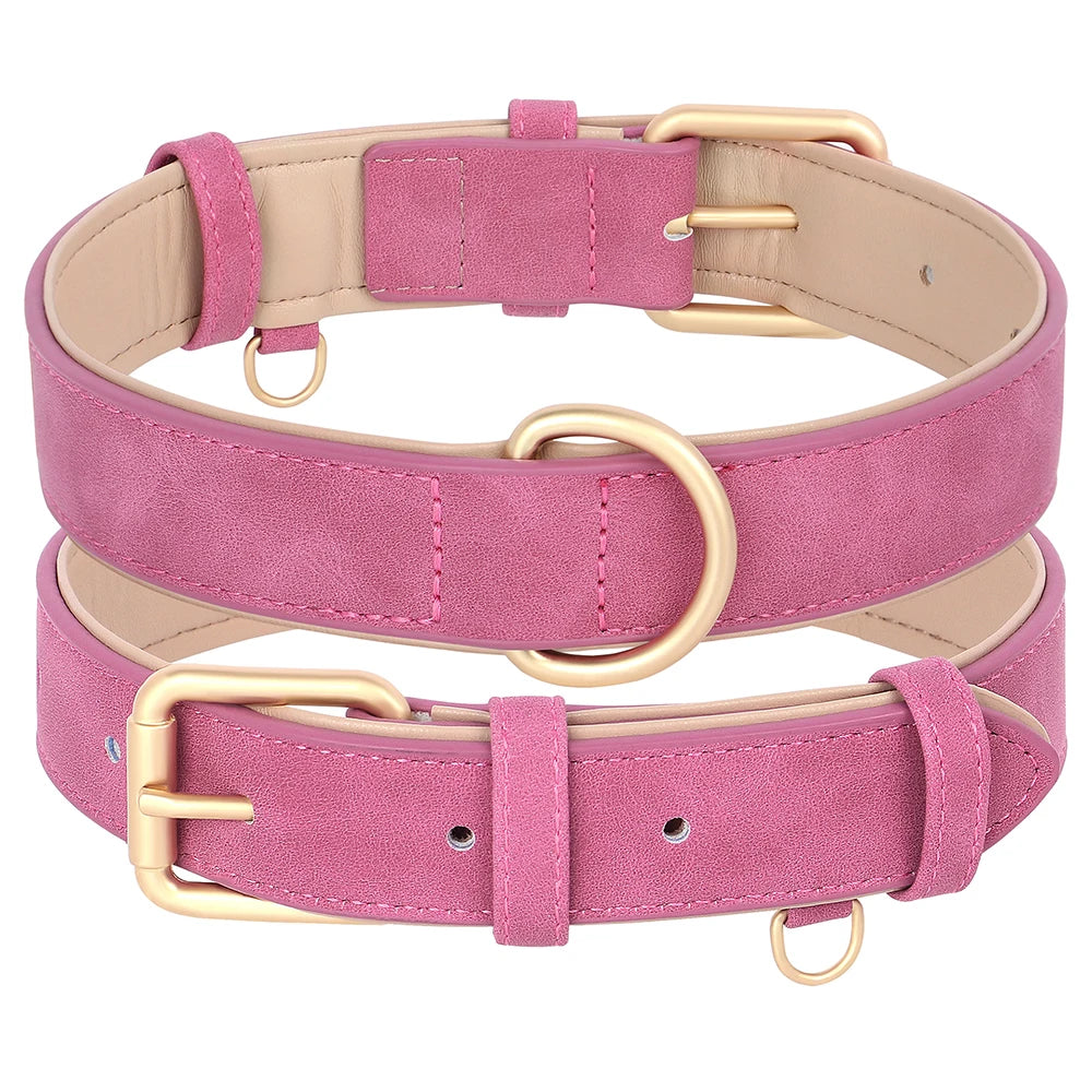 Padded Leather Dog Collar & Leash Stylish Set