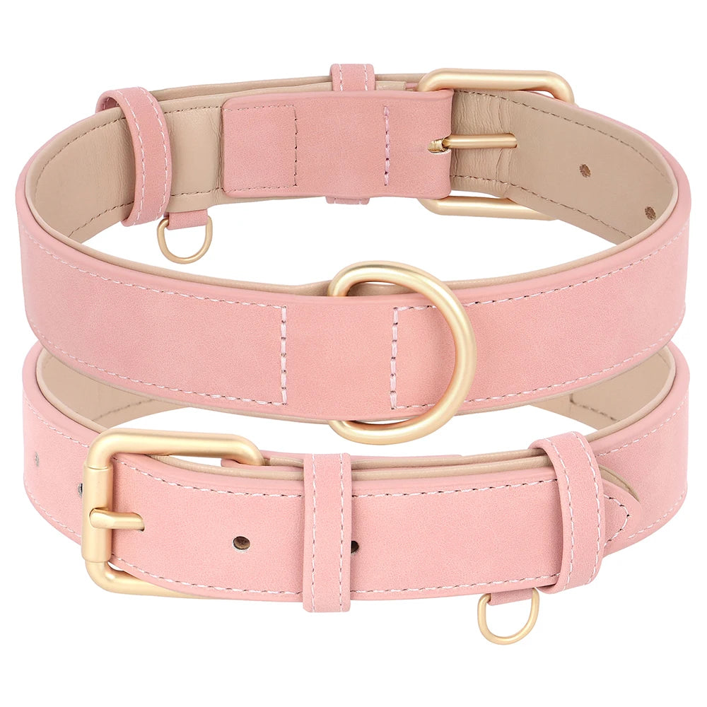 Padded Leather Dog Collar & Leash Stylish Set