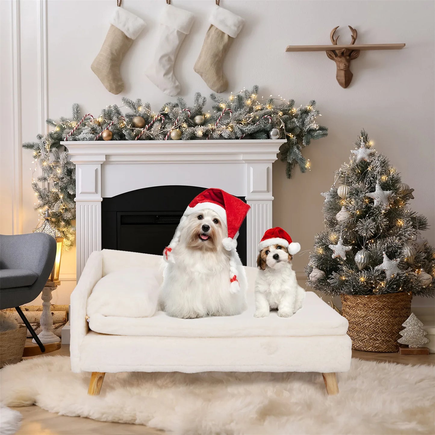 Elevated Small Dog Sofa Bed with Orthopedic Cushion Waterproof Cover