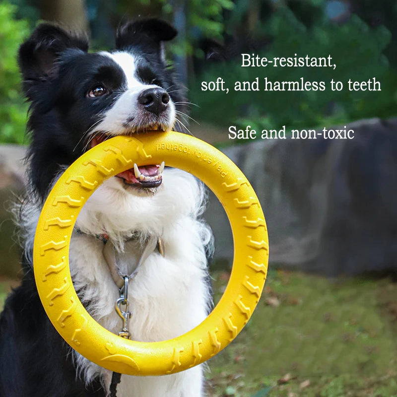 Durable Dog Toy Set – Flying Disc, Ball, Tug & Pull Ring
