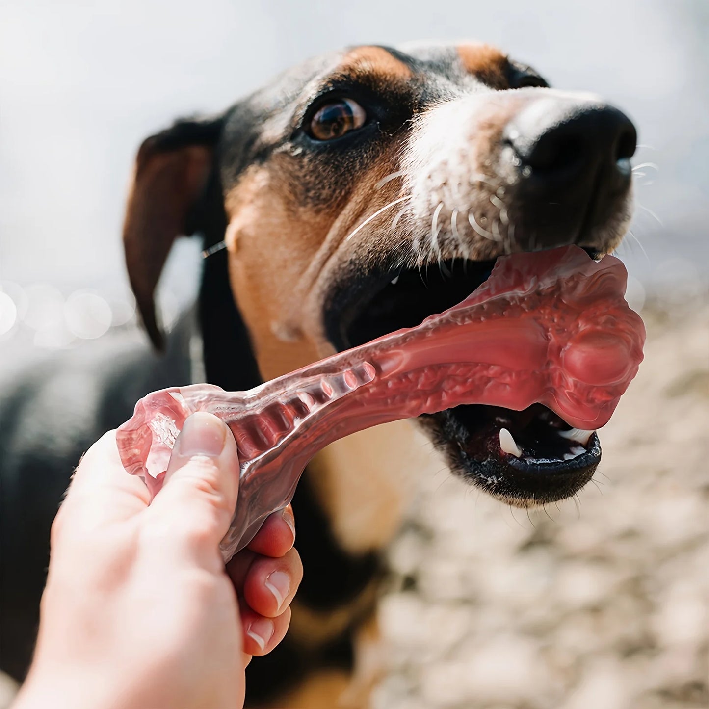 Realistic Bone Chew Toy for Large Dogs and Aggressive Chewers