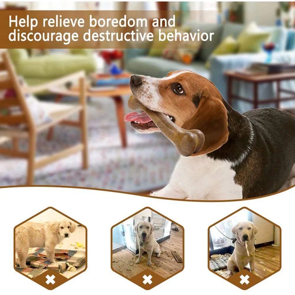 Ultra-Durable Eco-Friendly Chew Bone