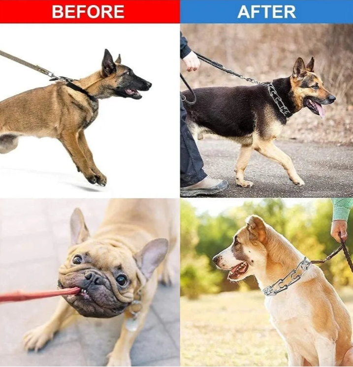 No-Pull Dog Training Collar