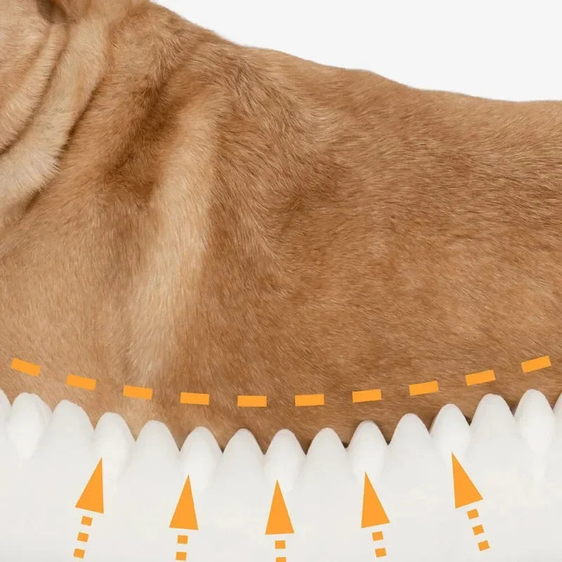 Washable Cushion Dog Bed with Foam Support Waterproof Removable Cover