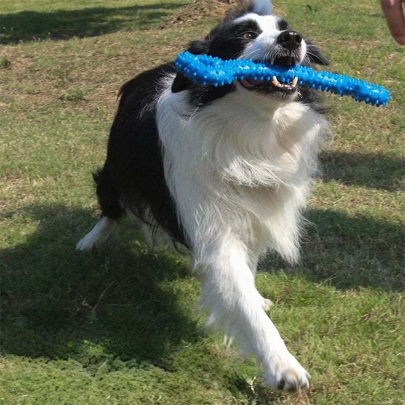 Bite Resistant Rubber Toy for Aggressive Chewers