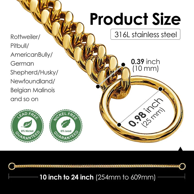 Gold Chain Dog Collar for Strong Dogs – Stainless Steel