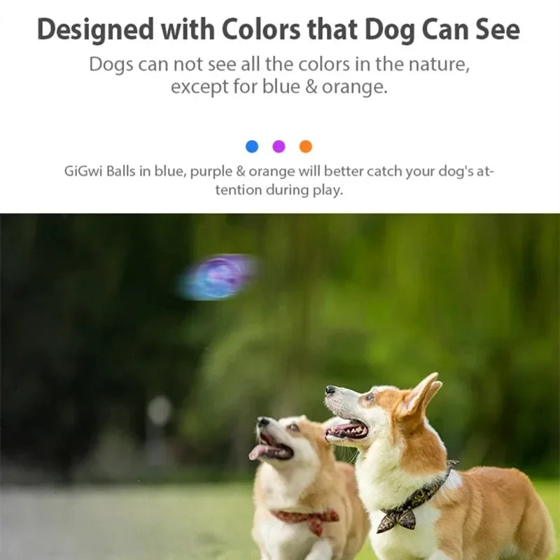 Squeaky Bouncy Dog Ball