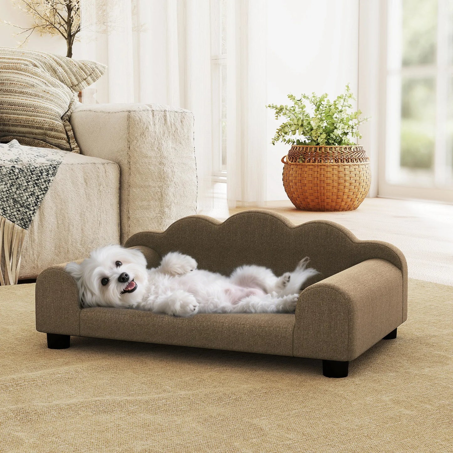 Luxury Small Dog Sofa Bed with Backrest and Washable Cushion