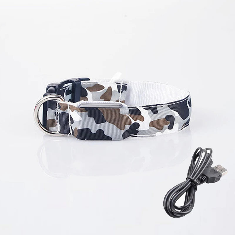 Rechargeable LED Dog Collar for Night Safety