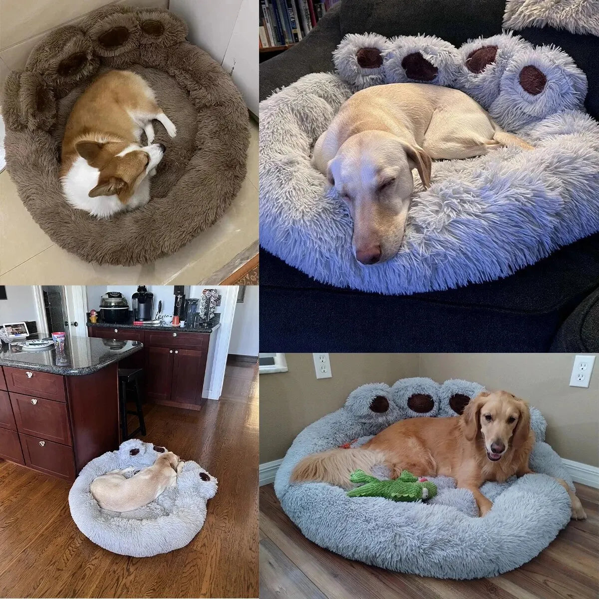 Raised Edge Dog Bed With Neck Support