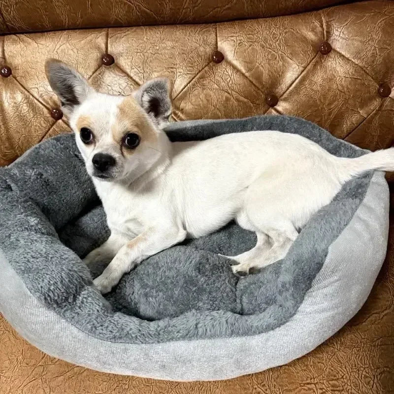 Washable Cotton Dog Donut Bed