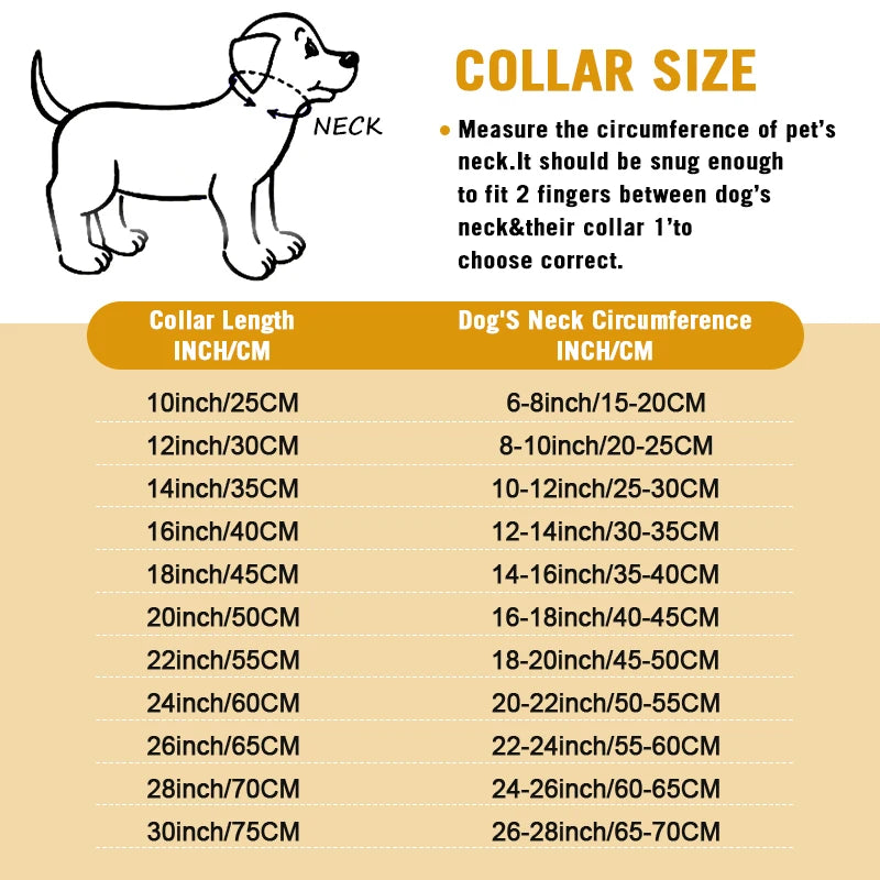 Gold Chain Dog Collar for Strong Dogs – Stainless Steel