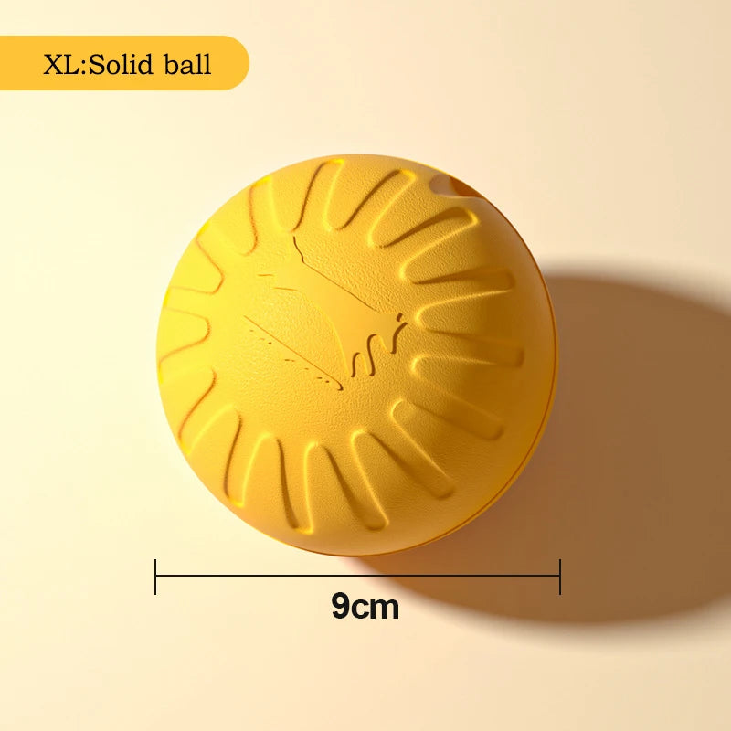 Durable Dog Toy Set – Flying Disc, Ball, Tug & Pull Ring