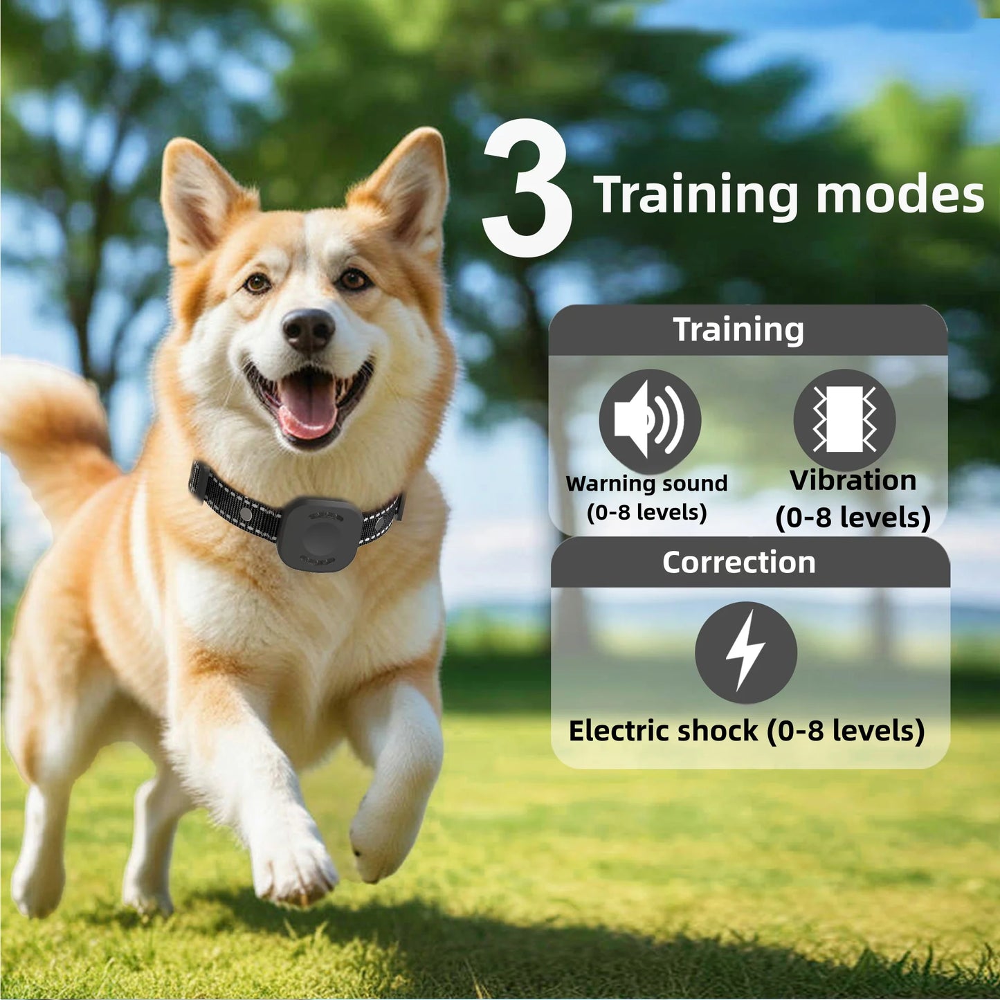 Wireless Dog Fence System with 480m Range & Training Collar