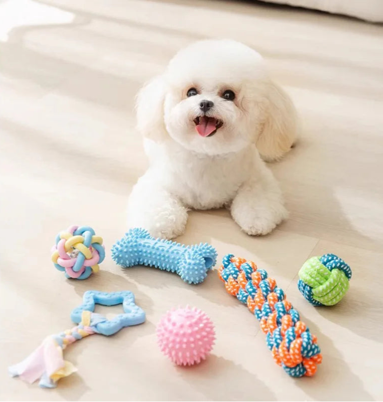 Colorful Dog Chew Toy Set for Dental Health and Play
